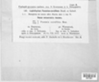 Image Associated With the Occurence